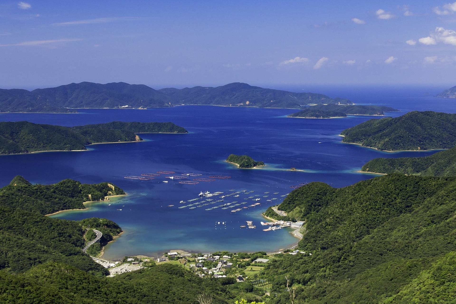 献花台設置のお知らせ